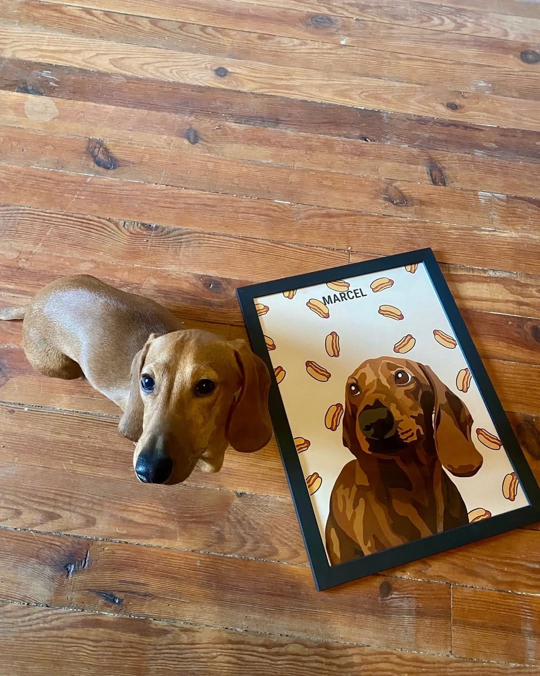 474707036_17898630921114821_6971156074357193824_n