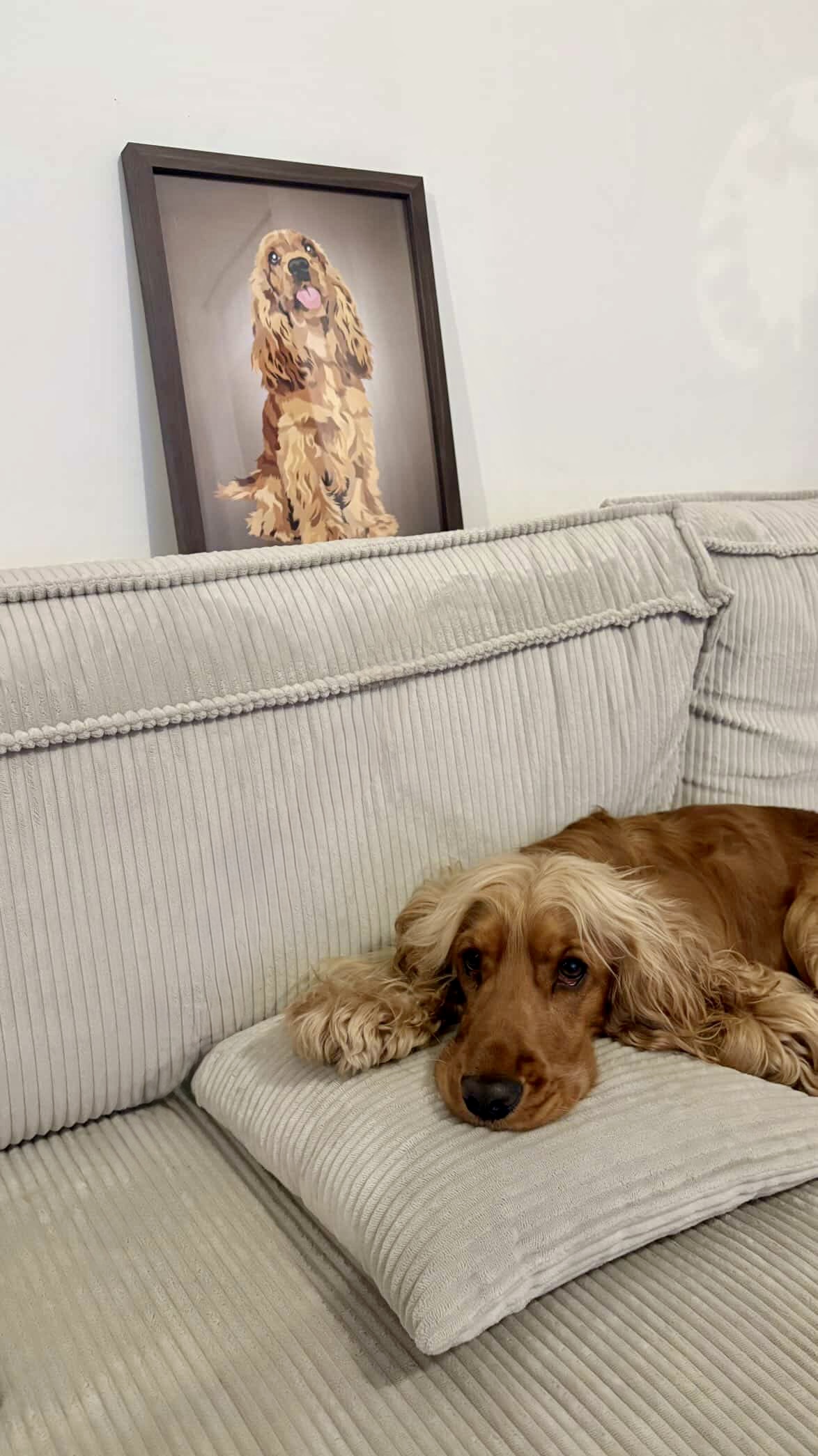 EDADB2A2-3133-4857-A4AA-D6C8C01757F2