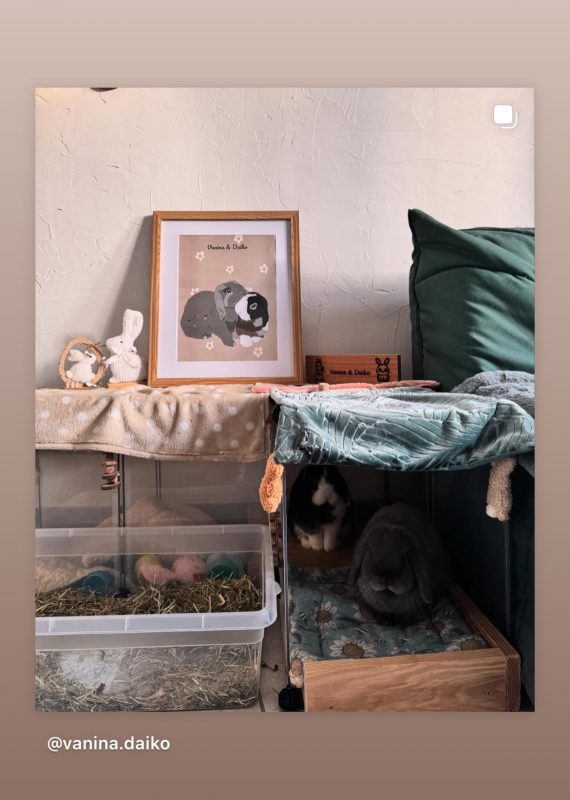 28A4AE51-1830-4FF4-B494-0E75C394AC0A